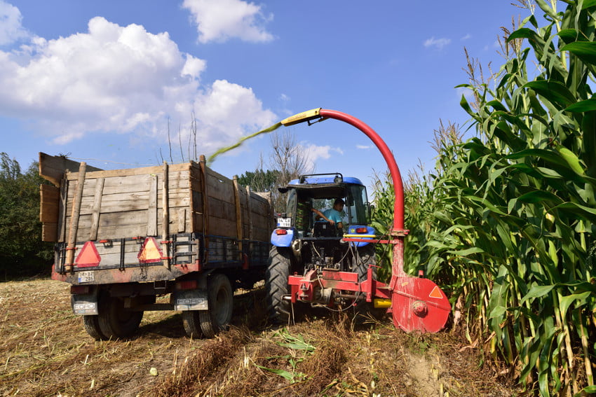 Lo que te falta por saber de la trituradora de ramas para tractor -  Agroptima