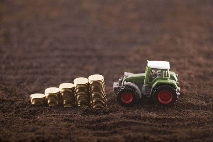 Las 5 claves de los negocios agrícolas rentables - Agroptima